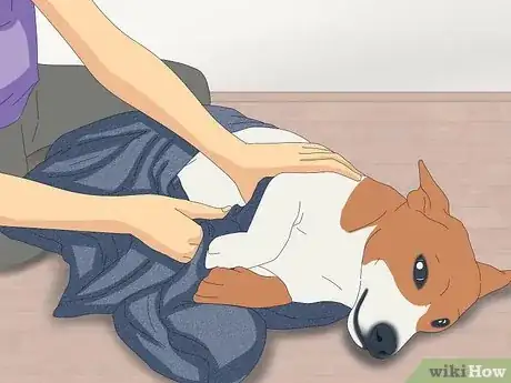 Image titled Make Sure That Your Dog Is Okay After Giving Birth Step 1