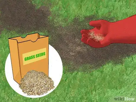 Image titled Get Rid of Moss in Your Lawn Step 12