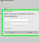 View Your Passwords in Credential Manager on Windows