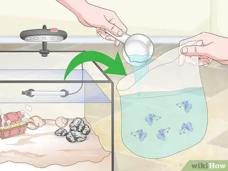 Image titled Set up a Guppy Tank Step 12