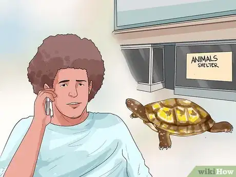 Image titled Find a Turtle Step 1