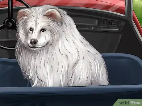 Image titled Care for an American Eskimo Puppy Step 11