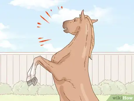 Image titled Calm Your Horse Down Quickly Step 14