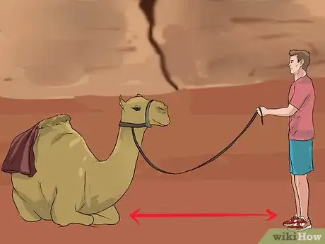 Image titled Regain Control of a Spooked Camel Step 11