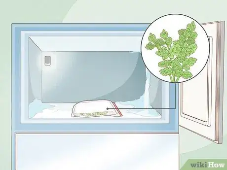 Image titled Grow Parsley Step 16