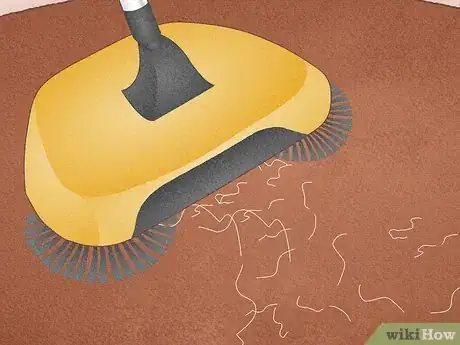 Image titled Remove Hair from a Carpet Without Vacuuming Step 2