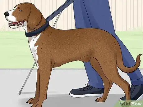 Image titled Train Your Service Dog Without a Professional Trainer Step 13