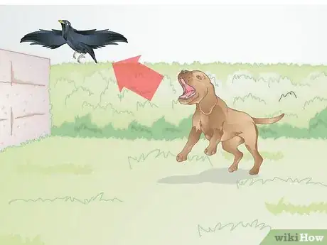 Image titled Calm a Dog when It Sees Birds Step 1