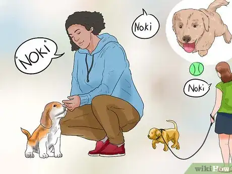 Image titled Teach a Puppy Its Name Step 11