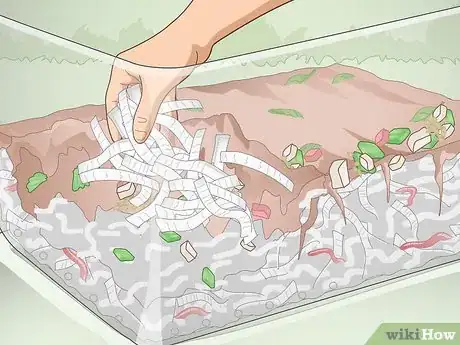 Image titled Make a Worm Farm Step 20