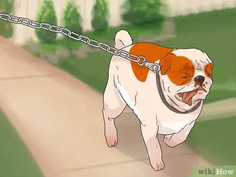 Image titled Start Walking Your Puppy Step 14