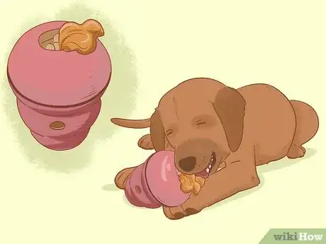 Image titled Stop a Puppy from Eating Stones Step 8