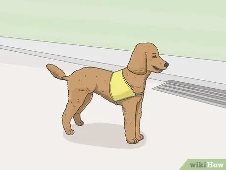 Image titled Identify a Service Dog Step 11