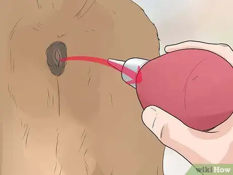 Image titled Give a Dog an Enema Step 18