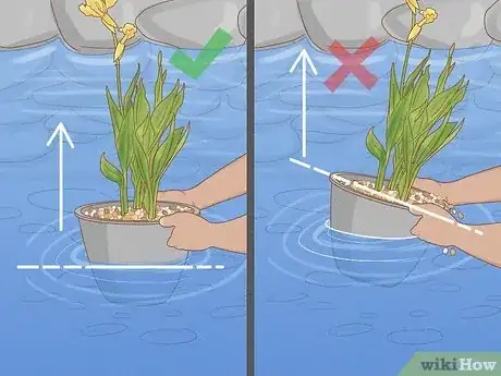 Image titled Plant Aquatic Plants Step 25