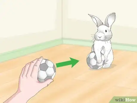 Image titled Love Your Rabbit Step 7