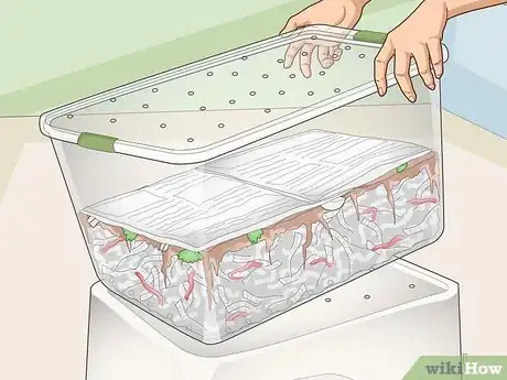 Image titled Make a Worm Farm Step 15