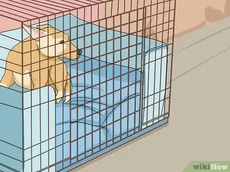 Image titled Help Your Dog Recover from Surgery Step 19