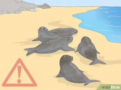 Image titled Get over Your Fear of Sharks Step 17