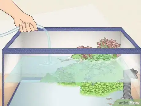 Image titled Check Ammonia in a Fish Tank Step 13