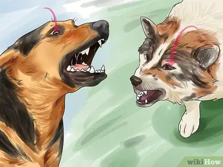 Image titled Get Your Two Dogs to Stop Fighting Step 5