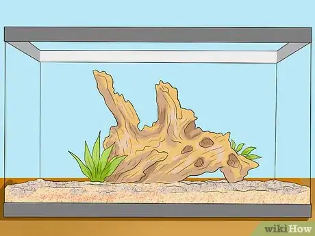 Image titled Make Aquarium Setups Stand Out Step 15