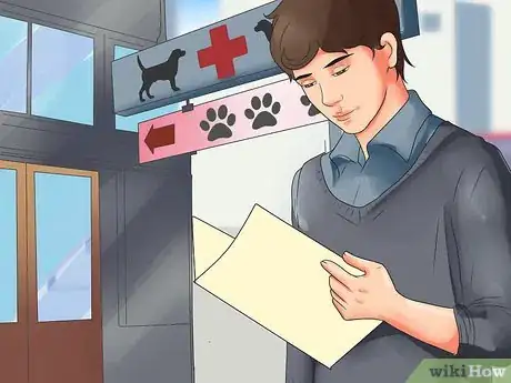 Image titled Give a Dog a Rabies Shot at Home Step 1