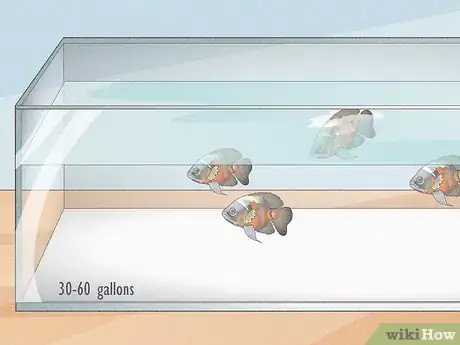 Image titled Make an Aquarium Step 2