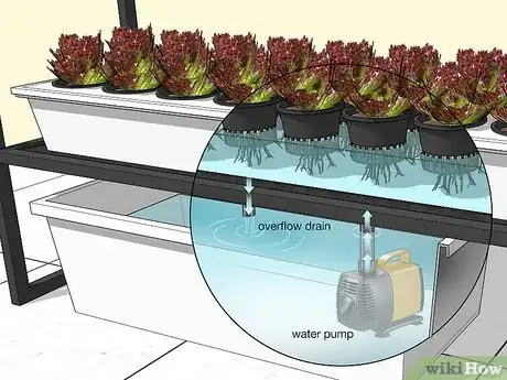 Image titled Design a Successful Indoor Garden Step 9