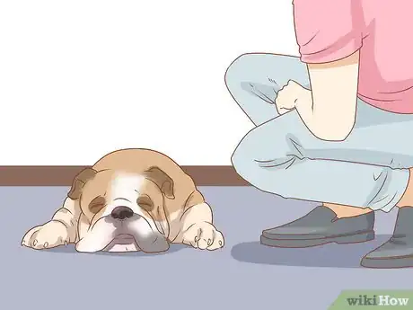 Image titled Tell if Your Dog Is Depressed Step 4