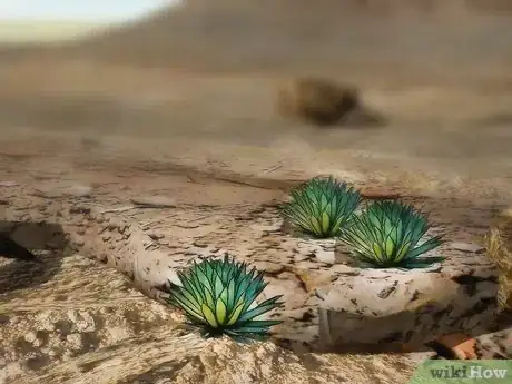 Image titled Find Water in the Desert Step 3