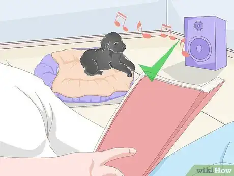 Image titled Get a Puppy to Sleep Step 8