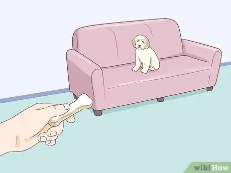 Image titled Keep a Dog Off the Couch Step 14