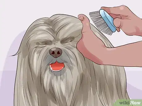 Image titled Dye a Dog's Fur Step 11