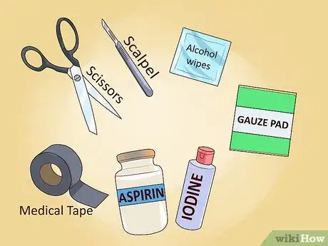 Image titled Make a Survival Kit Step 1