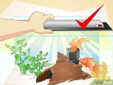 Image titled Make a 5 Gallon Aquarium Interesting Step 20