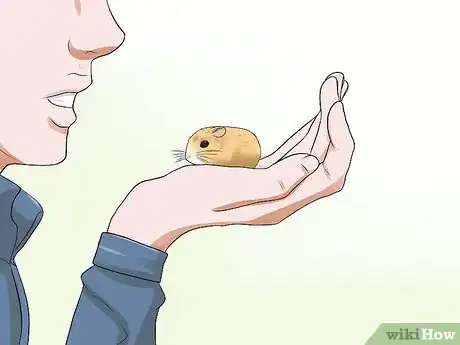 Image titled Tame a Dwarf Hamster Step 3