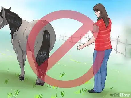 Image titled Approach Your Horse Step 14