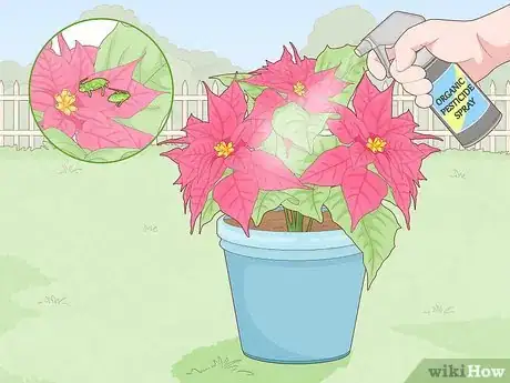 Image titled Revive a Dying Poinsettia Step 11