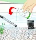 Fix Cloudy Aquarium Water