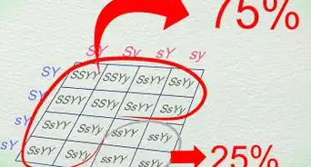 Work With Punnett Squares