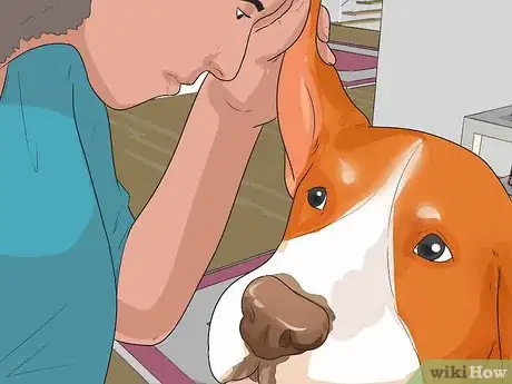 Image titled Diagnose Ear Infections in Beagles Step 6