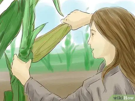 Image titled Grow Corn from Seed Step 11