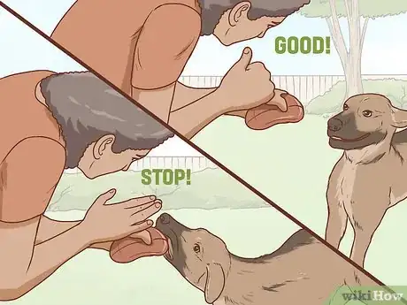 Image titled Communicate With Your Dog Step 18