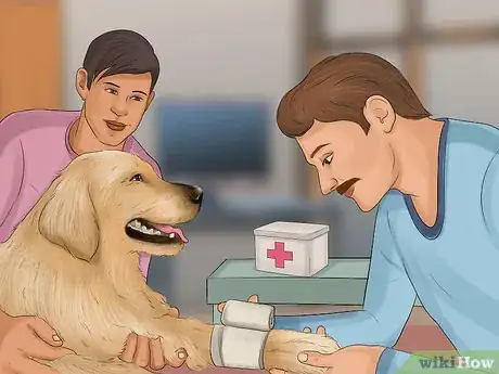 Image titled Stop a Dog from Bleeding Step 5