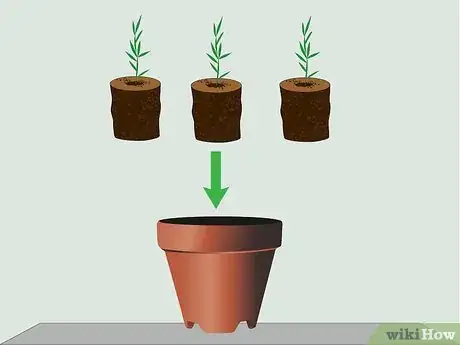 Image titled Grow Bamboo from Seed Step 10