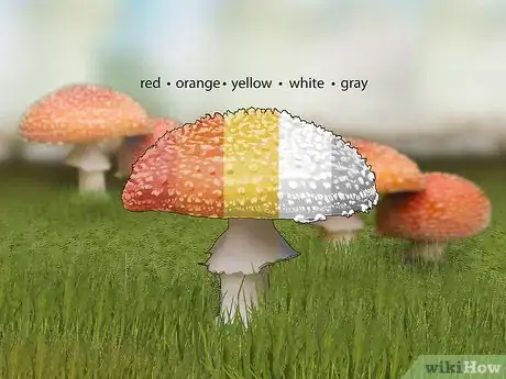 Image titled Identify Poisonous Mushrooms Step 1