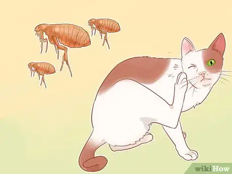 Image titled Know if Your Cat Is Sick Step 16