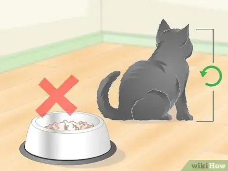 Image titled Eliminate Roundworms in Cats Step 3