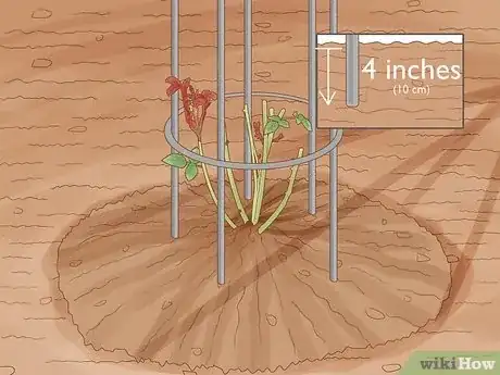 Image titled Plant a Climbing Rose Step 17